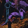 15.webp