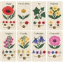 card_art_2.png